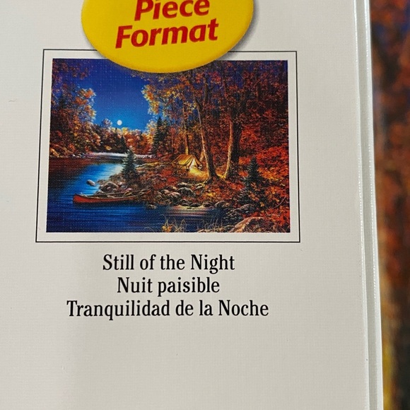 Ravensburger 500 large piece format puzzle “Still of the Night” 2017 Complete - Picture 5 of 9